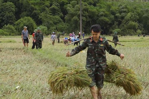 Thanh Hóa: Bộ đội, công an đi gặt, tuốt lúa, sơ tán người dân tránh bão số 10