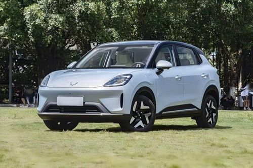 Xe điện 'ế' tại Việt Nam lại ra bản mới