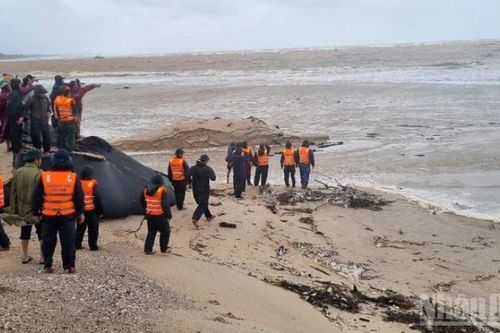 Bộ Xây dựng yêu cầu ứng phó khẩn cấp với bão số 10: Đặt mục tiêu bảo đảm an toàn tính mạng lên trên hết