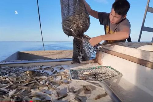 Ngư dân Việt trên đất Mỹ