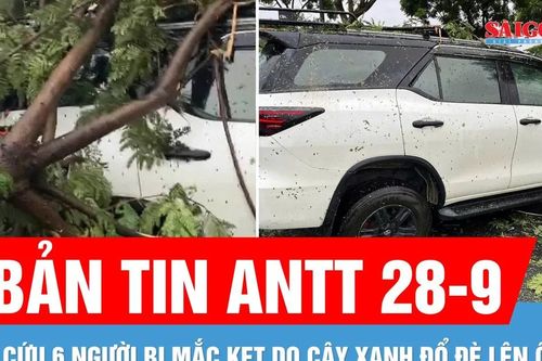 Bản tin ANTT 28-9: Giải cứu 6 người bị mắc kẹt do cây xanh đổ đè lên ô tô 7 chỗ ở Đà Nẵng