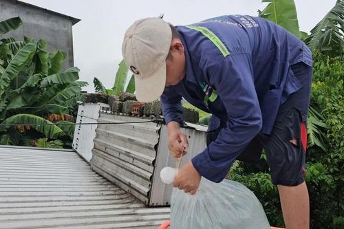 Người dân Huế dùng 'cách lạ' chằng chống nhà cửa trước bão gió ra sao?