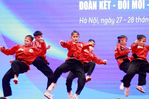 Khai mạc Đại hội đại biểu Liên đoàn Võ thuật Cổ truyền Việt Nam