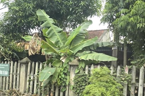 Gia cảnh trắc trở và 'vết trượt' của nghi can đâm chết vợ và hai người nghi tình địch