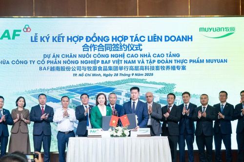 BAF bắt tay Muyuan trong dự án nuôi heo nhà cao tầng 12.000 tỷ đồng