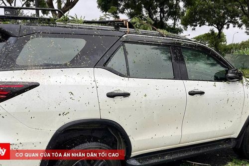 Cây xanh đổ đè ô tô, 6 người mắc kẹt được giải cứu an toàn