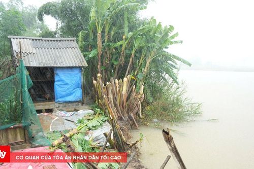 Bộ đội biên phòng và chính quyền kịp thời giúp dân ứng phó bão số 10