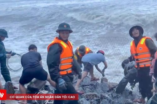 Hàng trăm người căng mình gia cố kè Cửa Nhượng bị sạt lở