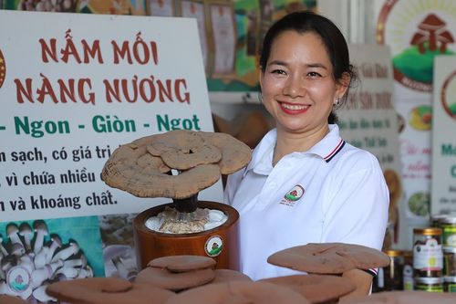Rời bục giảng, nữ giáo viên khởi nghiệp với trang trại nấm bạc tỷ