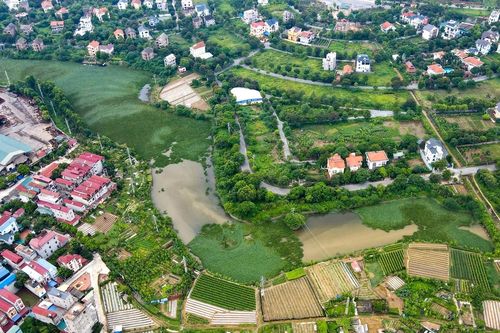 Chuyển đất trồng cây sang đất ở, đối tượng nào được miễn, giảm tiền sử dụng đất?