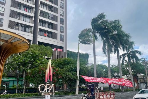 Vụ cư dân bị 'om' 73 tỷ đồng phí bảo trì: Chủ đầu tư chuyển hết kinh phí cho Ban quản trị