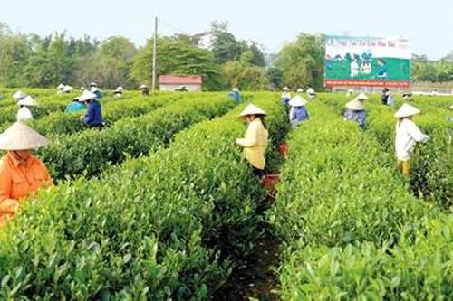 Sửa đổi một số quy định về thành lập, tổ chức và hoạt động của Quỹ hỗ trợ phát triển hợp tác xã