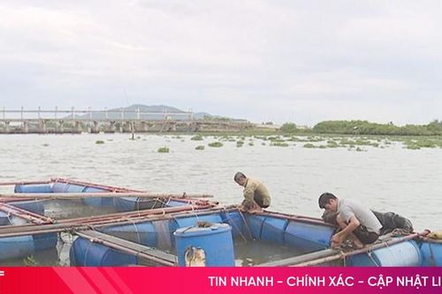 Người dân Hà Tĩnh bảo vệ diện tích thủy sản trước bão