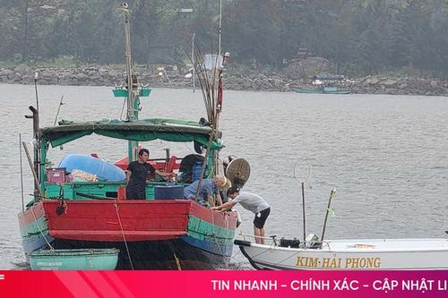 Dầm mưa chằng néo tàu thuyền trước giờ bão đổ bộ