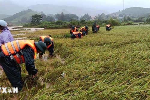 Bộ đội Biên phòng Huế giúp dân ứng phó bão số 10
