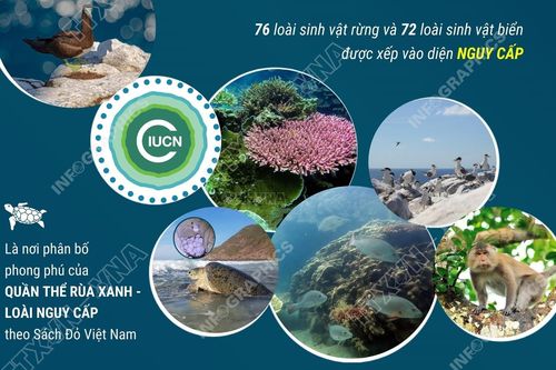 Vườn Quốc gia Côn Đảo được công nhận danh hiệu 'Danh lục xanh' IUCN