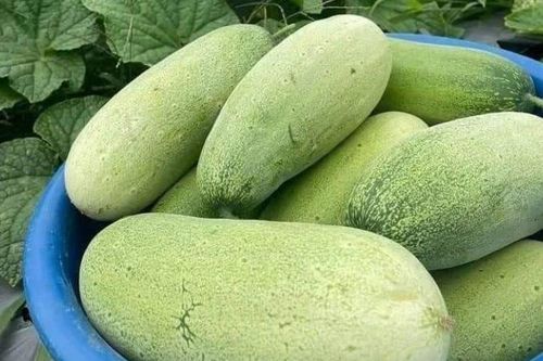 Loại quả từng bị lãng quên nay 'lên ngôi' đặc sản, giá bán 40.000 đồng/kg khiến dân thành phố săn lùng