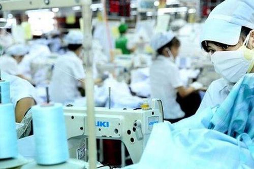 May Xuất khẩu Phan Thiết bị phạt gần 2,8 tỷ đồng vì vi phạm hải quan