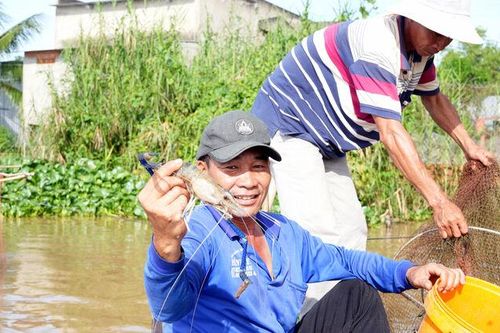 Mùa nước nổi ở Vàm Nao