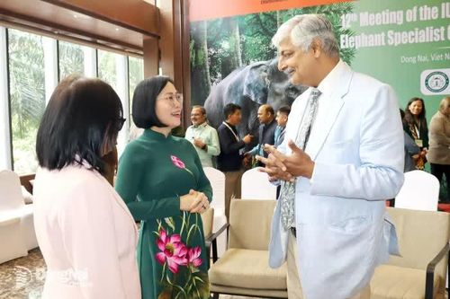 Chủ tịch Nhóm Chuyên gia về voi châu Á Vivek Menon: Mỗi người dân là chủ thể quan trọng bảo tồn voi