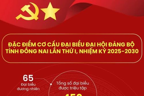 [Infographic] Số lượng và phân bổ đại biểu dự Đại hội Đại biểu Đảng bộ tỉnh Đồng Nai lần thứ I