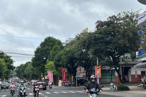 Từ đêm 27 đến 28-9, khu vực tỉnh Gia Lai có mưa vừa đến mưa to và giông