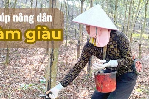 Giúp nông dân làm giàu
