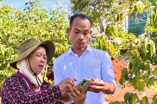 Hiệu quả mô hình 'Đảng viên gắn với phát triển kinh tế' vùng ĐBDTTS
