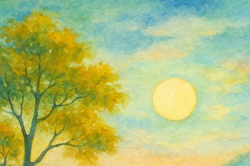 Thành phố nhìn từ triền đồi