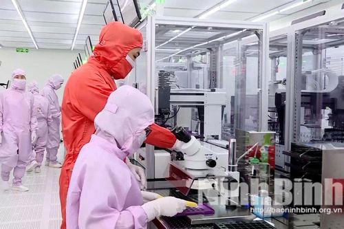 Tích cực lao động, sản xuất chào mừng Đại hội đại biểu Đảng bộ tỉnh Ninh Bình