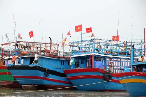Ứng phó với bão số 10: 100% tàu, thuyền đã vào nơi trú ẩn an toàn