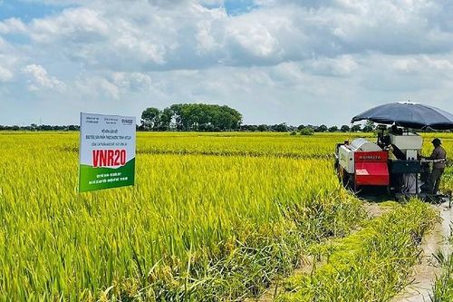 Cấp đăng ký Quỹ hợp tác xã địa phương trong 3 ngày làm việc