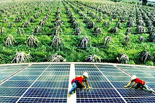 Sử dụng năng lượng tiết kiệm và hiệu quả: Kỳ vọng từ hành lang pháp lý mới