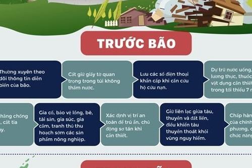 Trước khi bão số 10 đổ bộ, người dân cần làm gì để đảm bảo an toàn?
