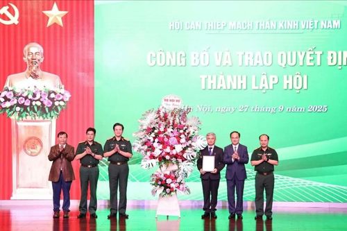 Thành lập Hội can thiệp mạch thần kinh Việt Nam