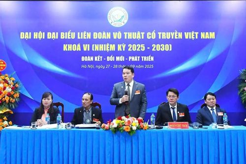 Ông Nguyễn Ngọc Anh làm Chủ tịch LĐ Võ thuật Việt Nam