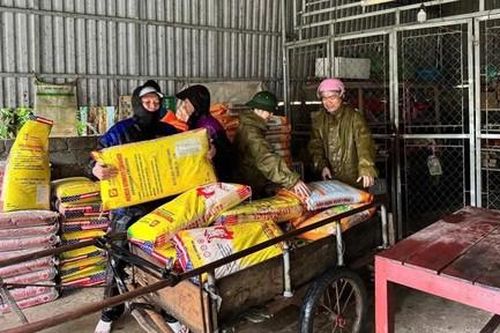 Hình ảnh Công an các xã miền núi Thanh Hóa giúp nhân dân phòng, chống bão số 10