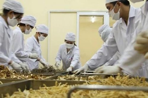 Bộ Y tế phân cấp 27 thủ tục hành chính lĩnh vực dược cho Cục Quản lý Y, Dược cổ truyền