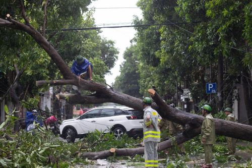 Thành Vinh tan hoang, cuộc sống người dân đảo lộn do mất điện