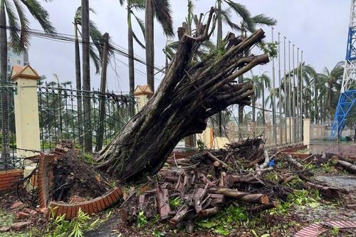 Bão số 10 quần thảo Nghệ An, gây thiệt hại nghiêm trọng