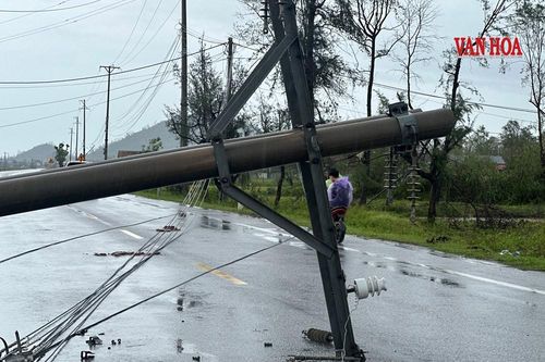 Hệ thống cột điện trên đường ven biển đổ rạp sau bão số 10