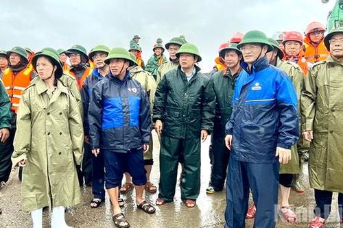 NINH BÌNH: HUY ĐỘNG TOÀN LỰC 'CỨU' ĐÊ BIỂN HẢI THỊNH, KHẮC PHỤC HẬU QUẢ BÃO SỐ 10