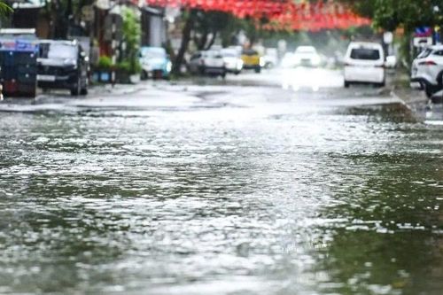 Nước ngập, cây đổ chặn nhiều phố phường tại Thanh Hóa