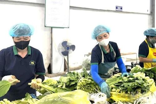 Thành lập Quỹ hợp tác xã địa phương hoạt động theo mô hình hợp tác xã
