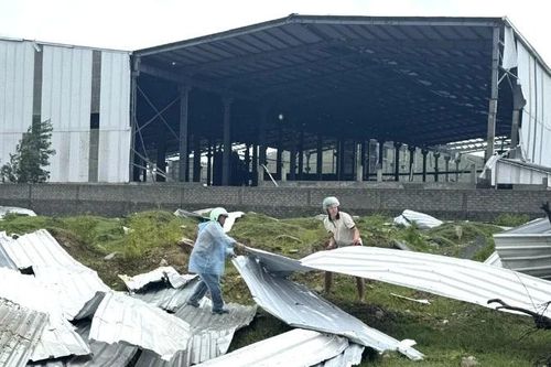 Quảng Trị: 'Rốn bão' Phú Trạch khẩn trương khắc phục hậu quả bão số 10