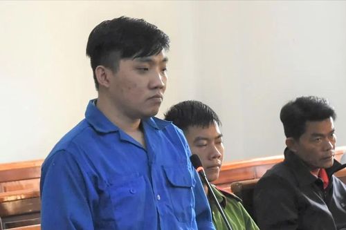 Đồng Nai: Cán chết người, tài xế xe tải lĩnh án