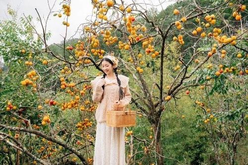 Đà Lạt mùa hồng rực rỡ, du khách hóa cô thôn nữ giữa phố núi mộng mơ
