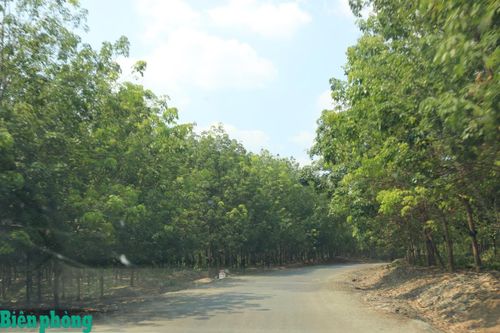 Kết hợp kinh tế với quốc phòng, nâng cao tiềm lực, sức mạnh đất nước