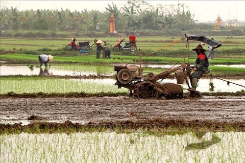 Xây dựng hình ảnh người nông dân chuyên nghiệp