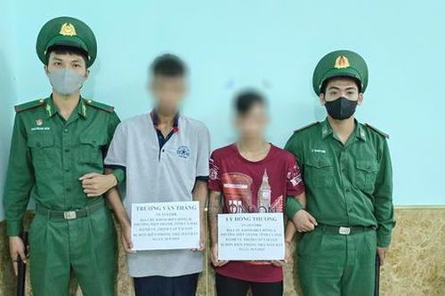 Bắt giữ 2 đối tượng trộm cắp tài sản công trình điện gió tại Cà Mau